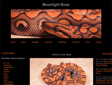 Tablet Screenshot of moonlightboas.com
